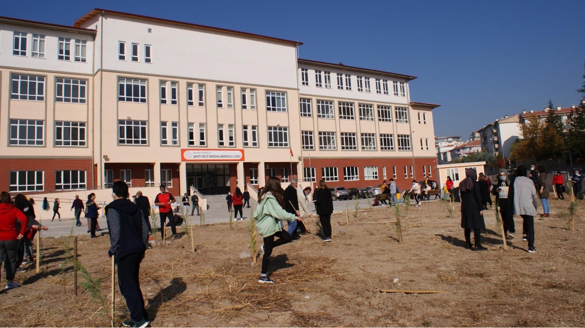 Şehit Velit Bekdaş Anadolu Lisesi Fotoğrafı